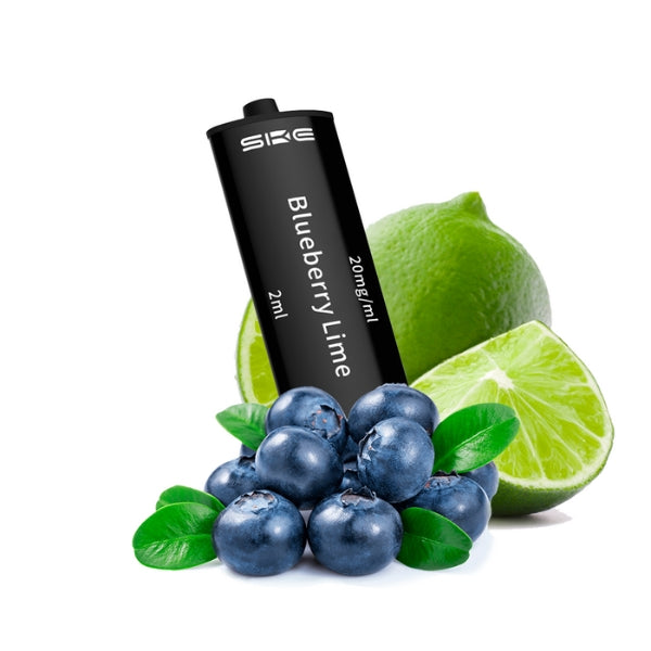 Recambio Vaper SKE 4 en 1 Blueberry Lime 2400 puff